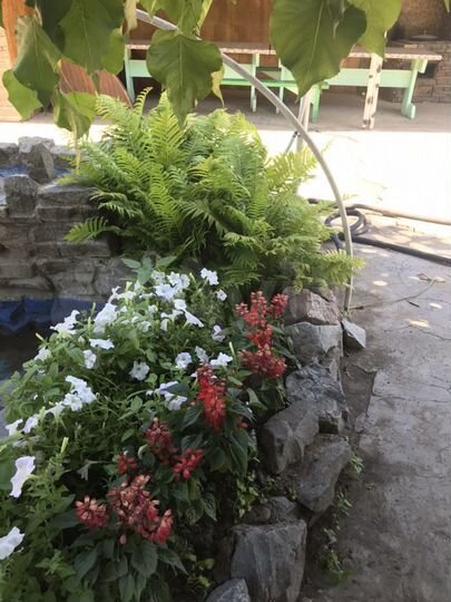 Коттедж 250 м² на участке 12 сот.