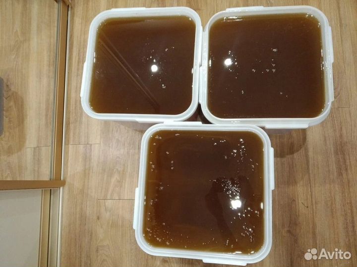 Свежий мёд Горный Опт