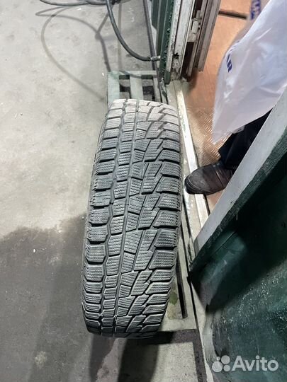 Winter Tact Nord Frost 3 2.25/10.5 R8 24E