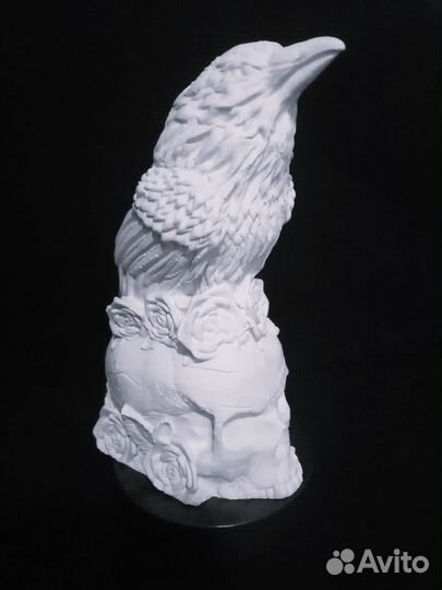 Ворон проводник, гипс