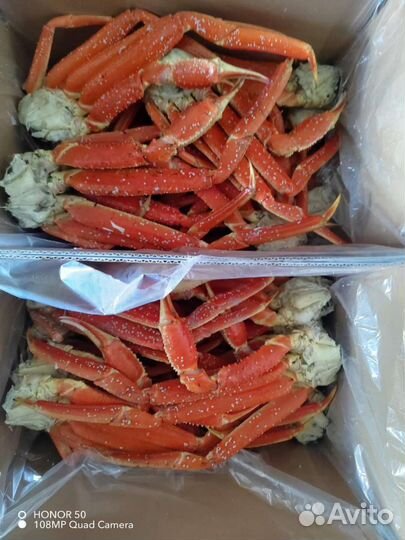 Клешни краба стригуна