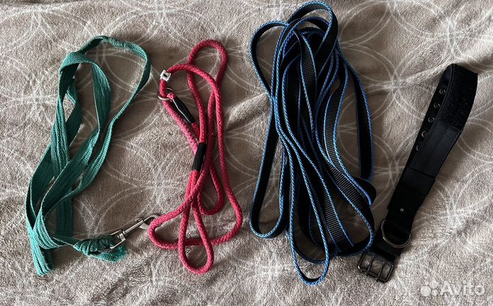 Поводок для собак, ошейник для собак