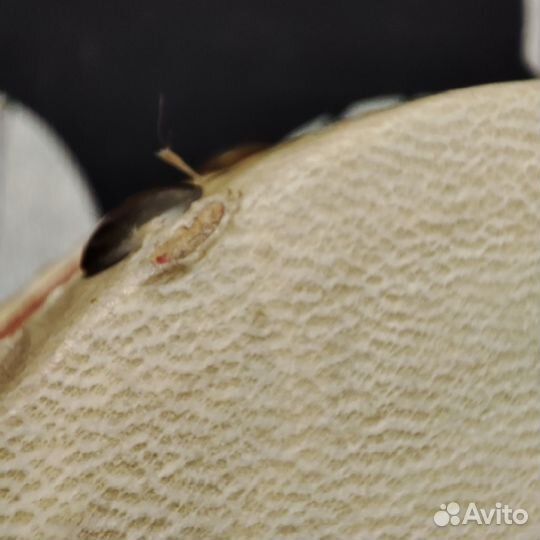 Ручной барабан-трещетка