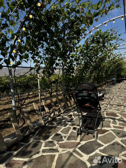 Прогулочная коляска cybex mios