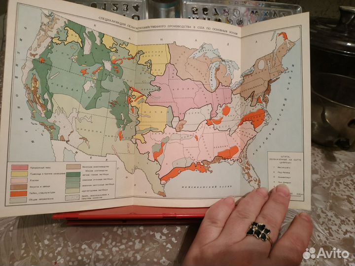 Что мы видели в США и Канаде. 1956