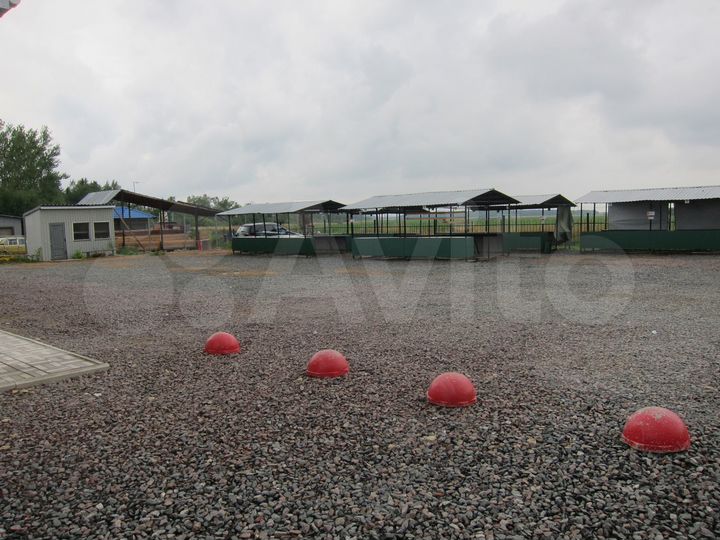 Торговая площадь, 453 м²