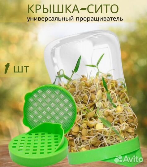 Проращиватель для микрозелени