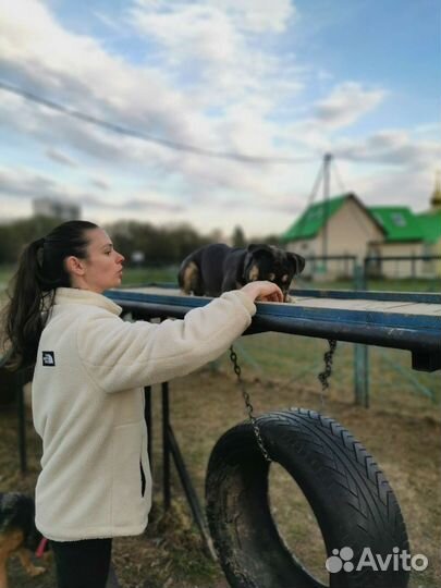 Кинолог зоопсихолог