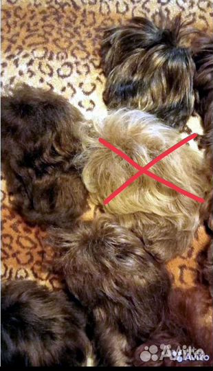 Парики женские б\у