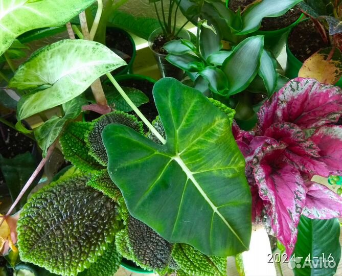 Интернет магазин