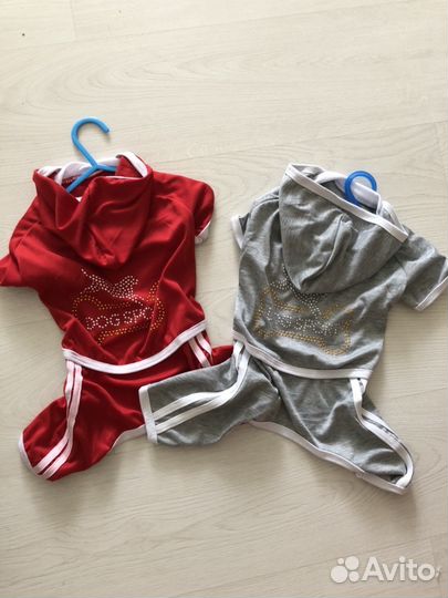 Одежда для собак