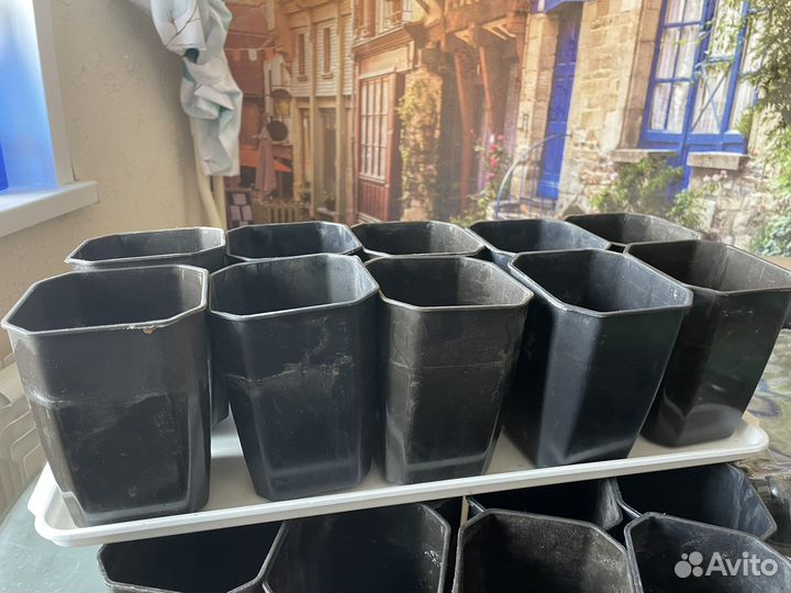 Горшки для рассады