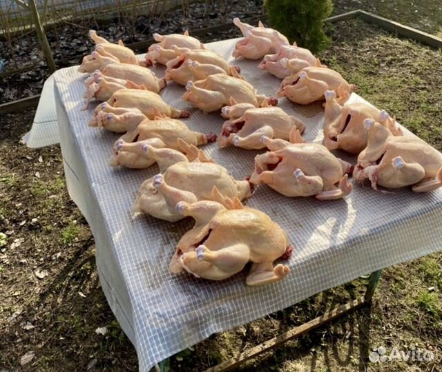 Курочки домашние бройлеры