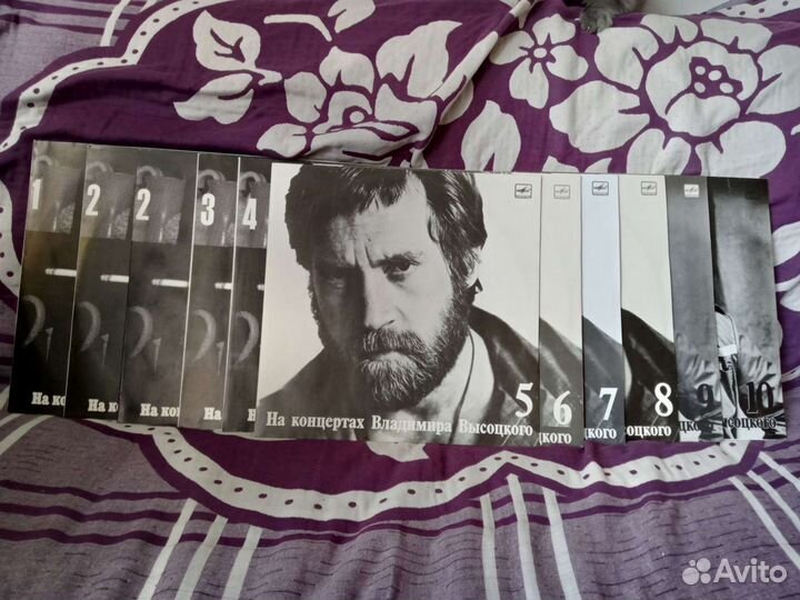 На концертах владимира высоцкого