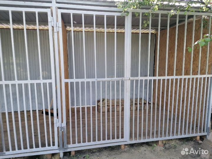 Гостиница для собак