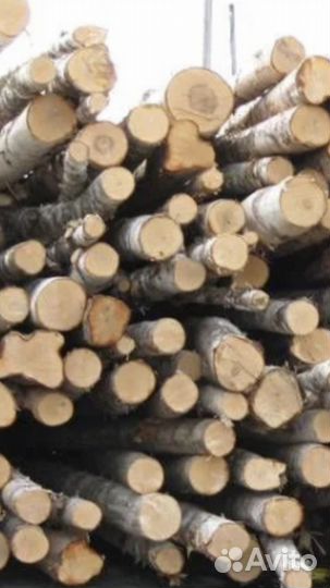 Кругляк березовый- дрова
