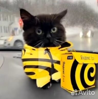 Монтаж видео