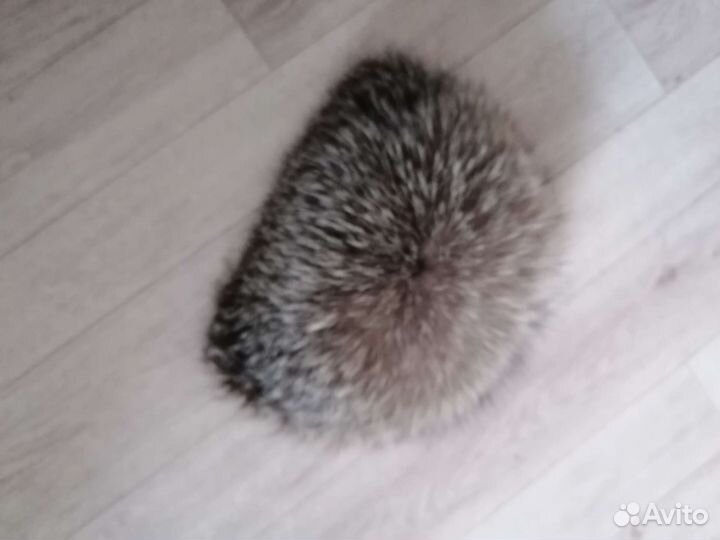 Шапка натур