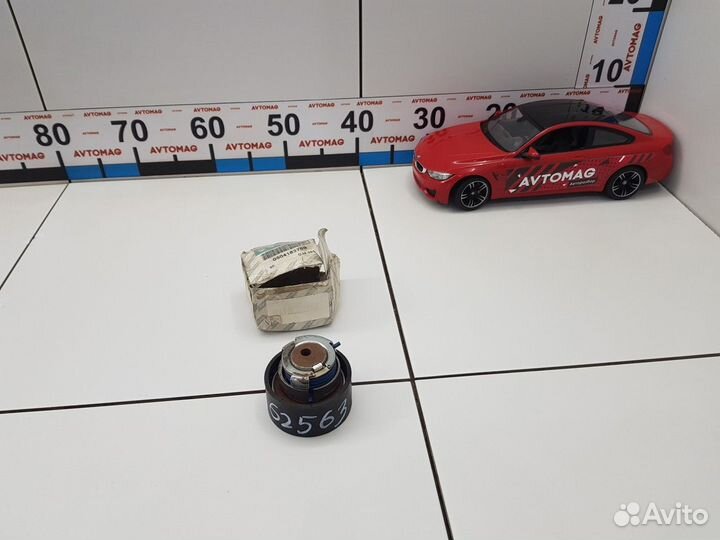 Ролик натяжителя ремня грм (Fiat Ducato)