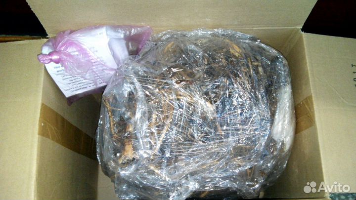 Корни и саженцы Кипрея / Иван-чая