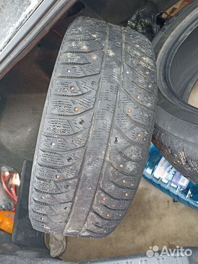 Accelera Accelera Summer 5.00/10 R12