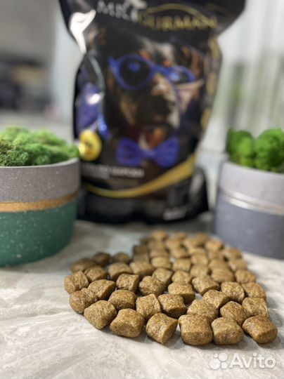 Корм для собак, кошек и щенков Мистер Гурман