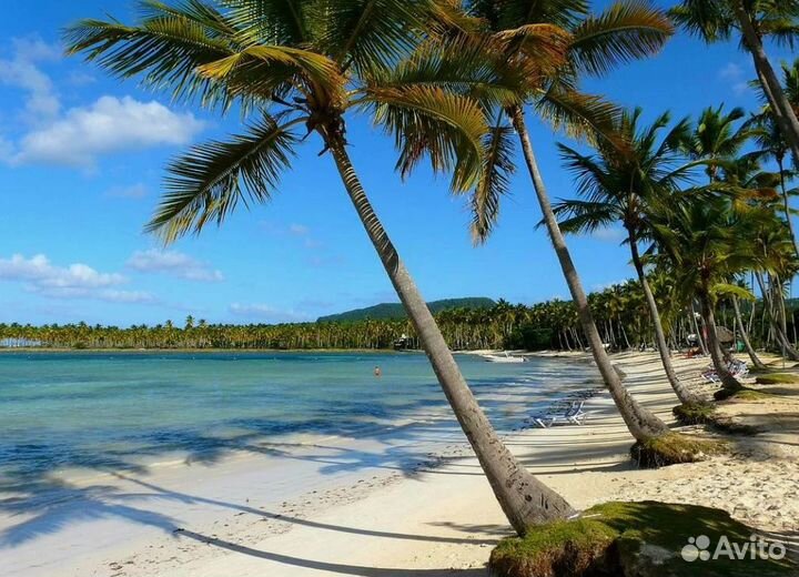 На Кубу 11 нч поездка 4* все включ перел+прож