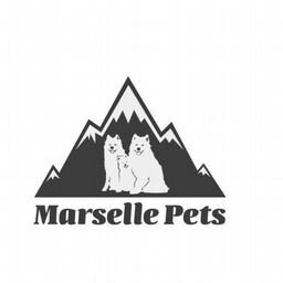 Питомник самоедов Marsellepets