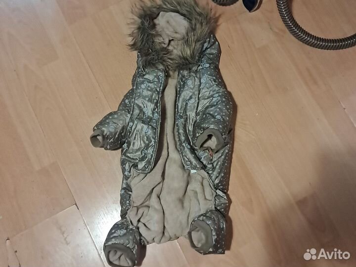 Одежда для собак