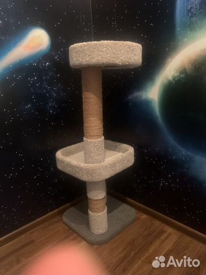 Когтеточка