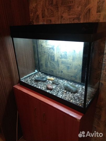 Аквариум 110 литров, грунт, компрессор, фильтр