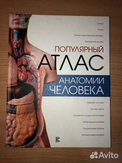 Медицинский атлас по анатомии
