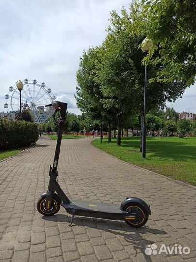 Segway ninebot max g30p
