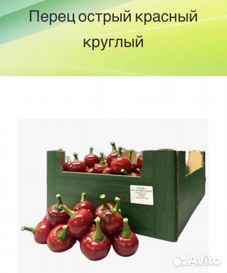 Рассада очень острого перца