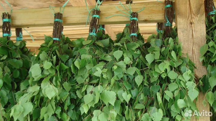 Веники для бани