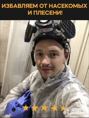 Дезинсекция: Уничтожение тараканов, клопов, мышей
