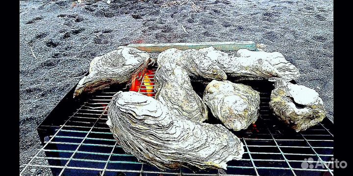 Гастрономический тур