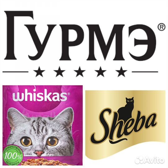 Корм whiskas 1,9 кг сухой / влажный