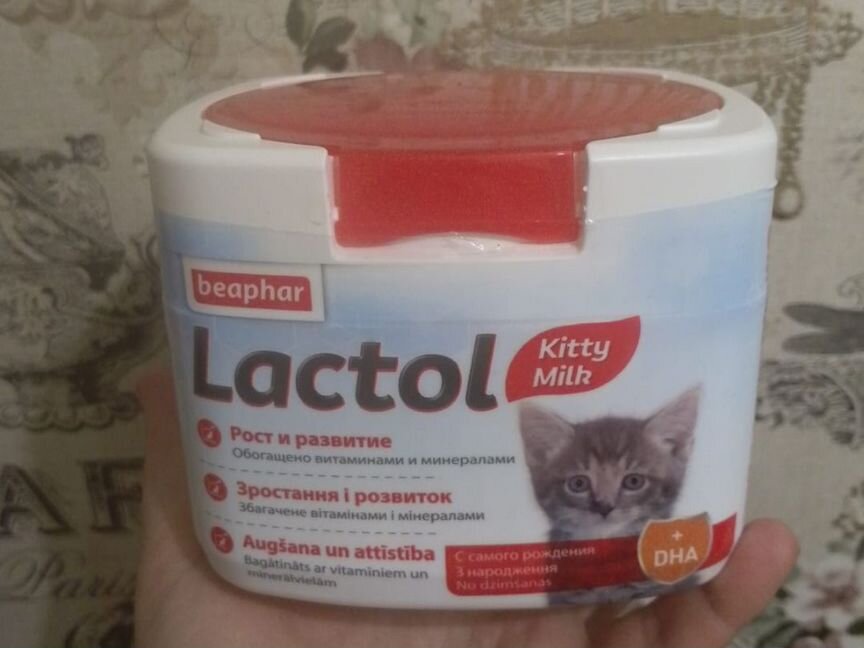 Смесь для новорожденных котят