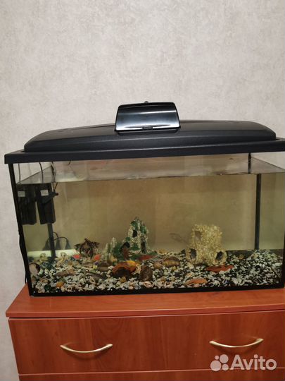 Продам аквариум Торг уместен