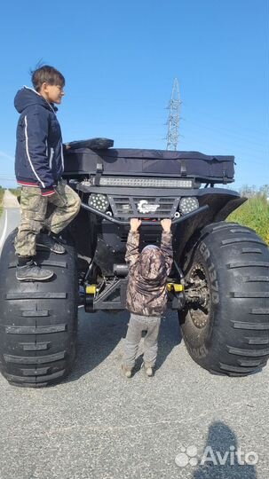 Сокол трофи снегоболотоход