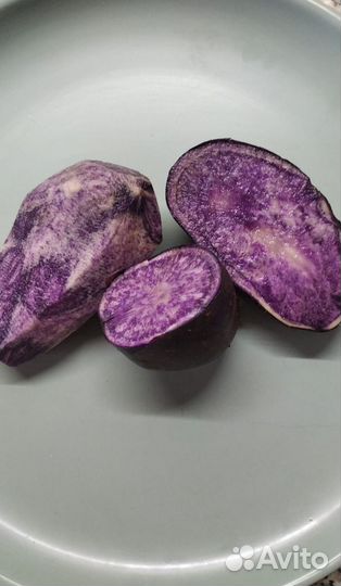 Картофель фиолетовый