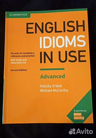 English idioms in use advanced