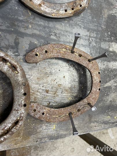 Подкова лошадиная. С гвоздями