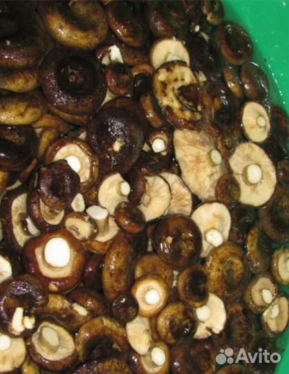 Грузди черные соленые