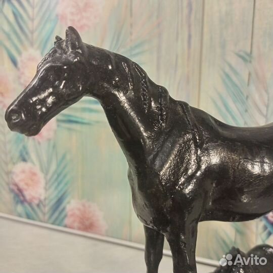 Куса Касли. лошади