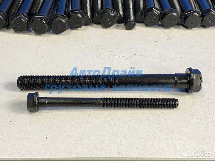 Болты гбц DAF Даф 105 комплект на двигатель