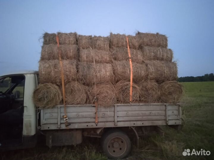 Сено в минирулонах