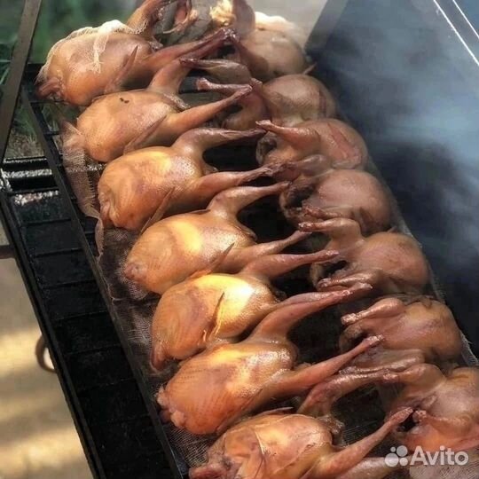 Копчёные перепела