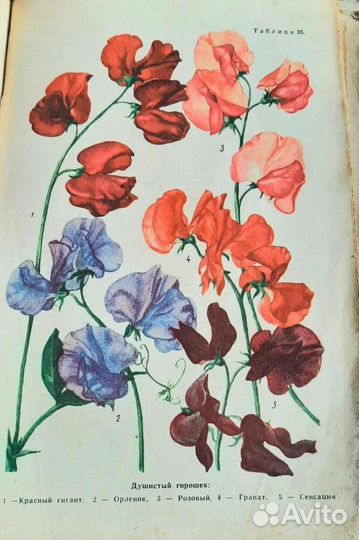 Календарь справочник садовода. ред. Колесников В.А